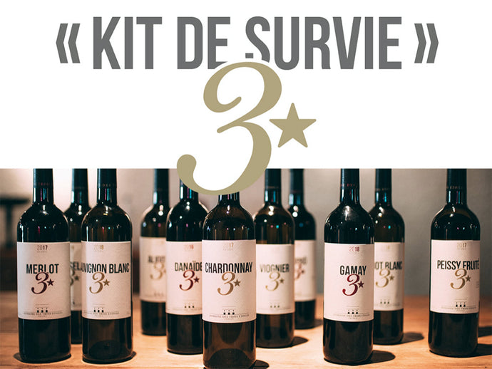 "Kit de survie"